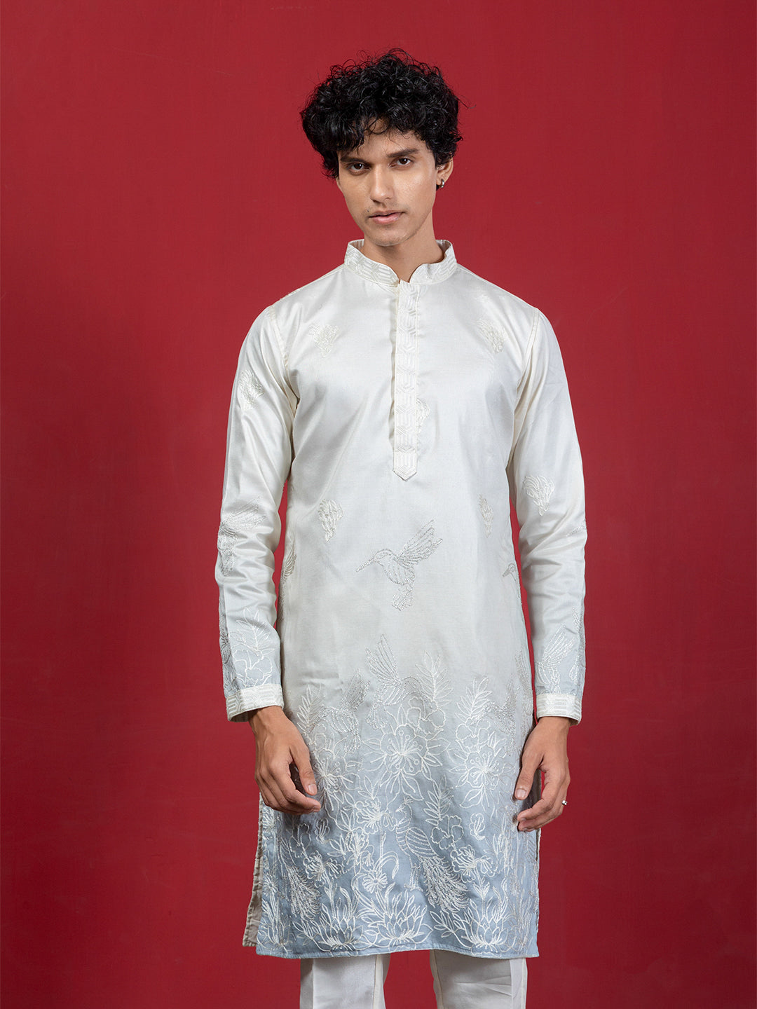 Ombre Ethnic Motif Embroidery Kurta